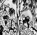 Monkeys - 2