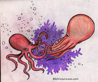 Octopus Battles - 2