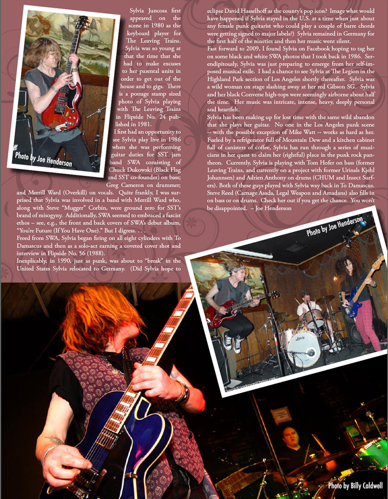 Flipside 2010 - Article